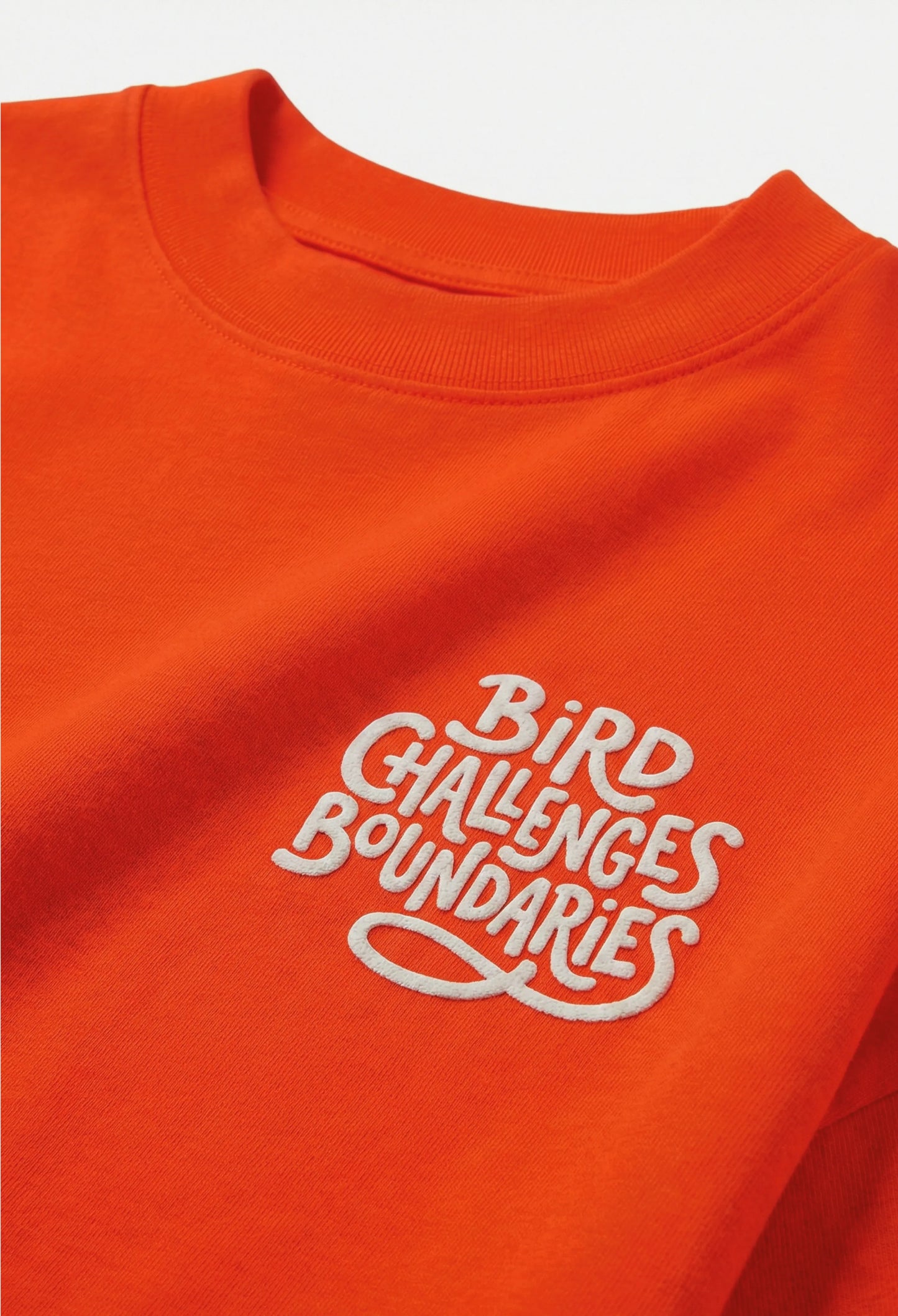 Boundless Bird SVG Vector | Minimalist Aesthetic Apparel Design | Digital Download | Commercial Use | Print Ready